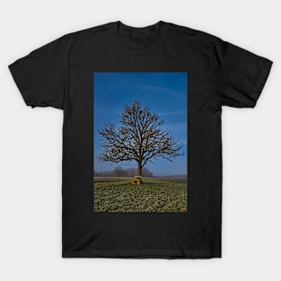 A place in the sun T-Shirt